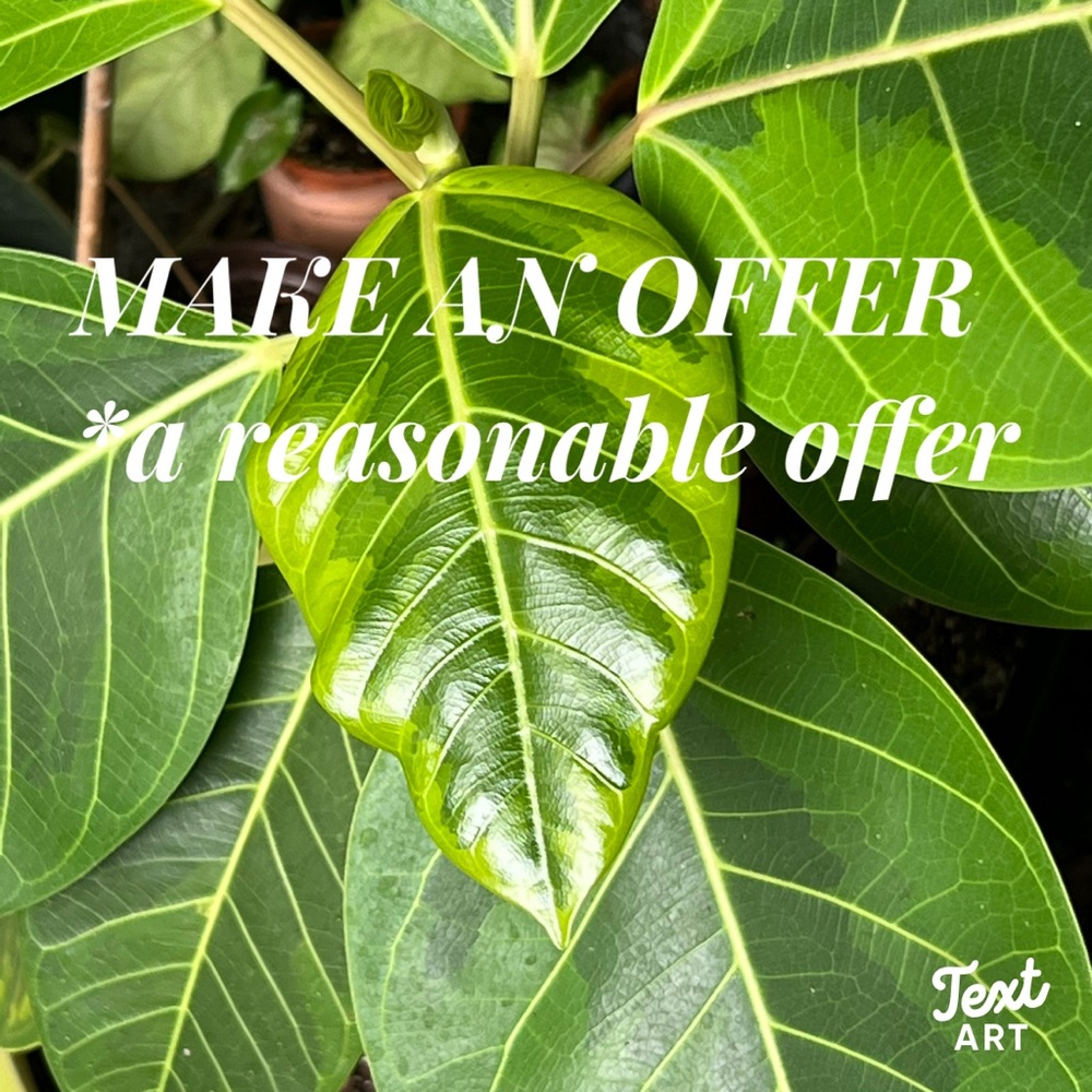 REASONABLE OFFERS👍 - Picture 6 of 13